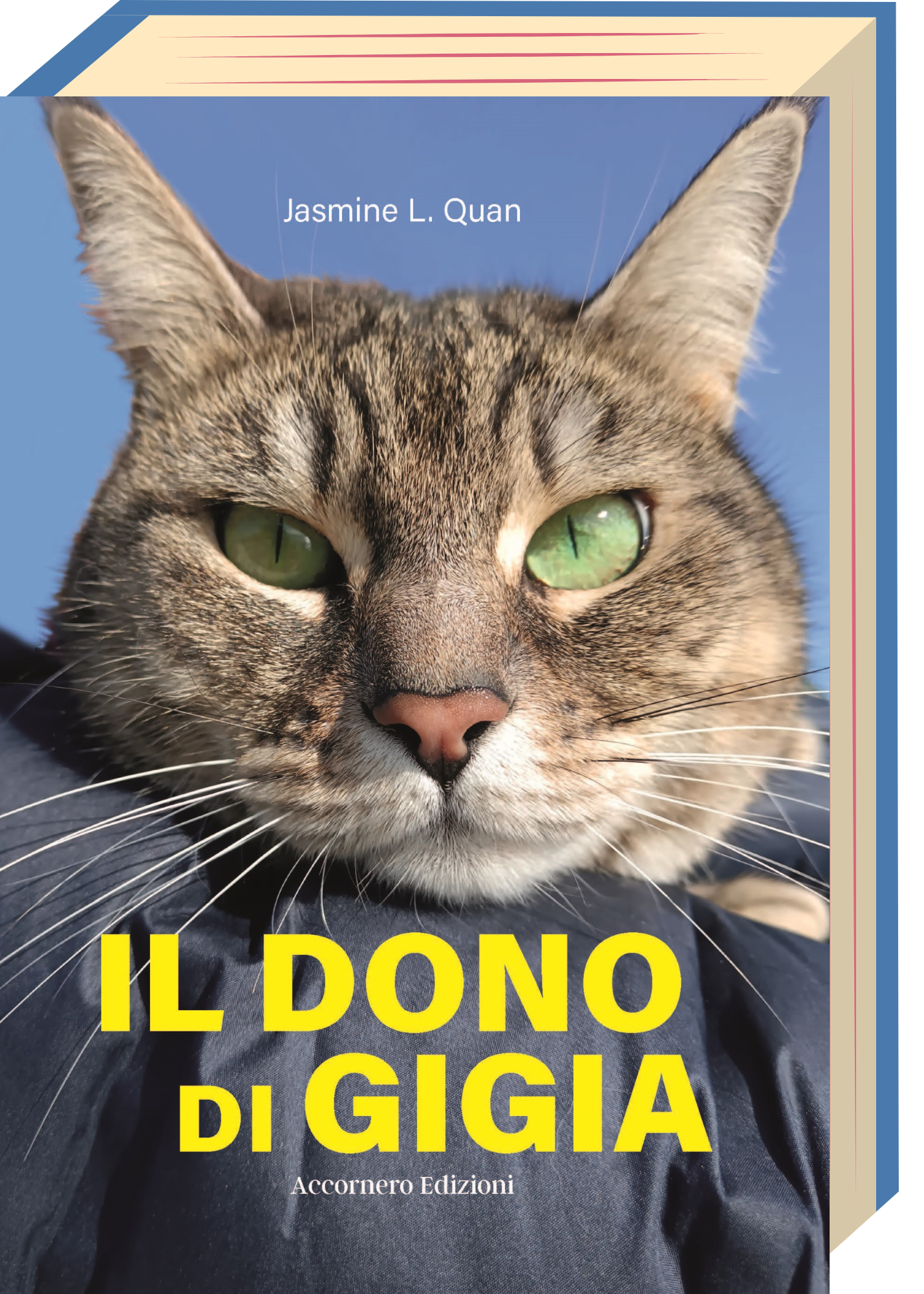 Gigia's Time Travel