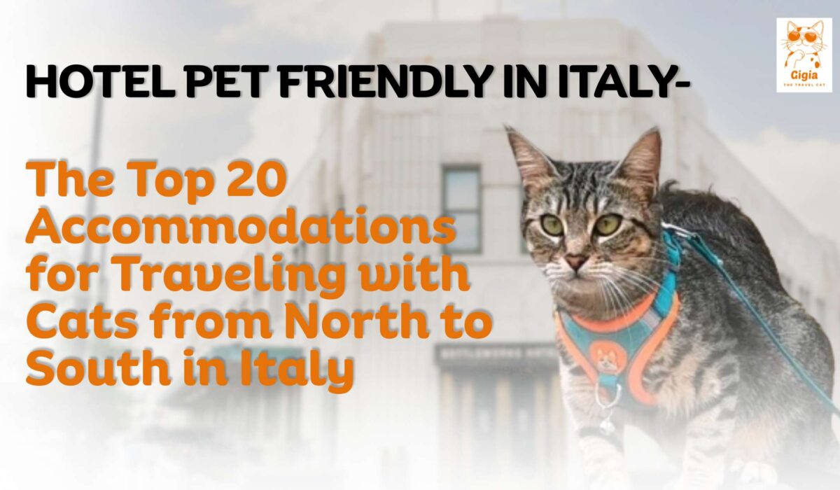 Hotel che accettano gatti in Italia