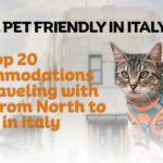Hotel che accettano gatti in Italia