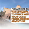 cosa vedere in Venice, Venezia gatti