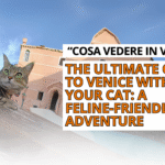 cosa vedere in Venice, Venezia gatti