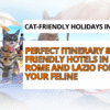 Gigia Travel Cat shares the best hotel Roma con animali ammessi options in Rome for cat owners seeking comfort, safety, and premium pet-friendly stays. royalty free cat photos rome hotel