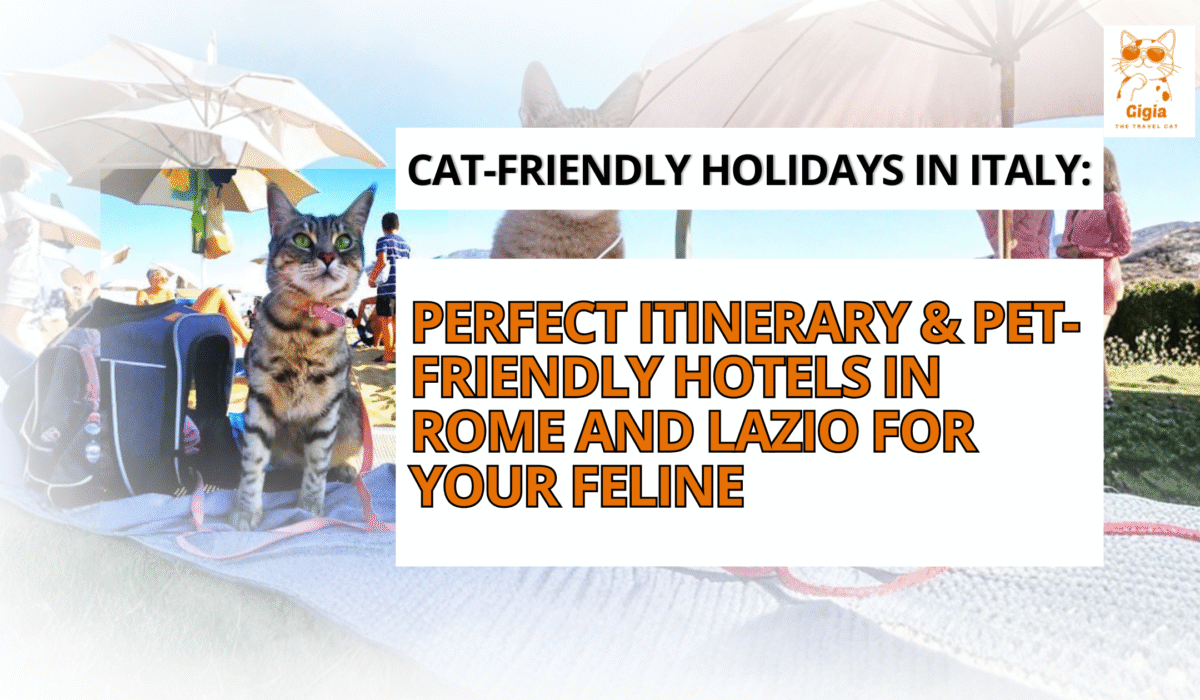 Gigia Travel Cat shares the best hotel Roma con animali ammessi options in Rome for cat owners seeking comfort, safety, and premium pet-friendly stays. royalty free cat photos rome hotel