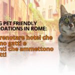 Gigia Travel Cat royalty free cat photos featuring alberghi per gatti in Rome