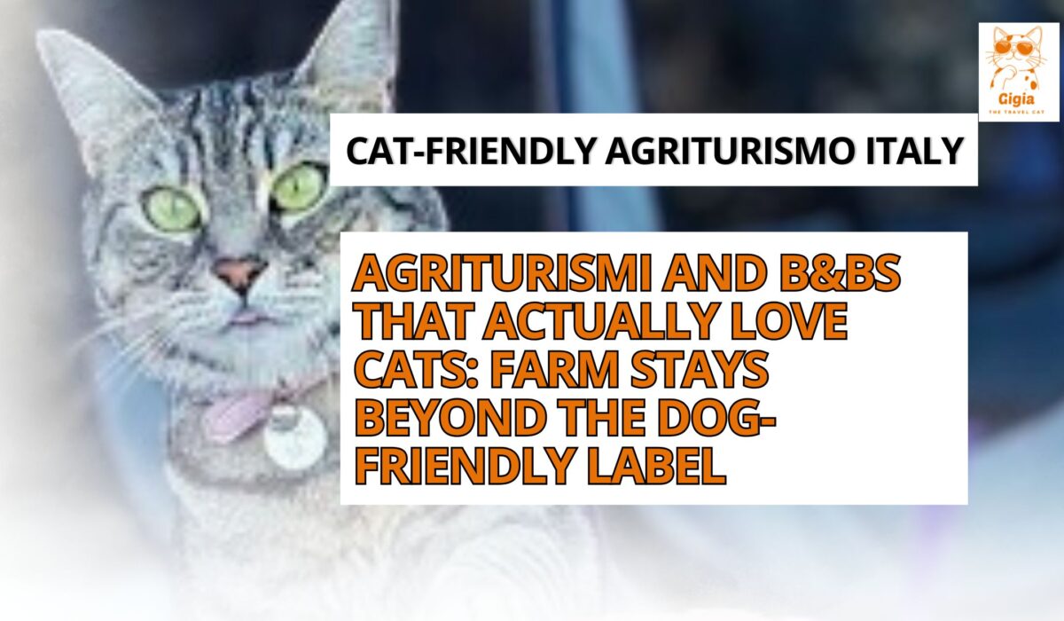 cat-friendly agriturismo Italy