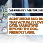 cat-friendly agriturismo Italy