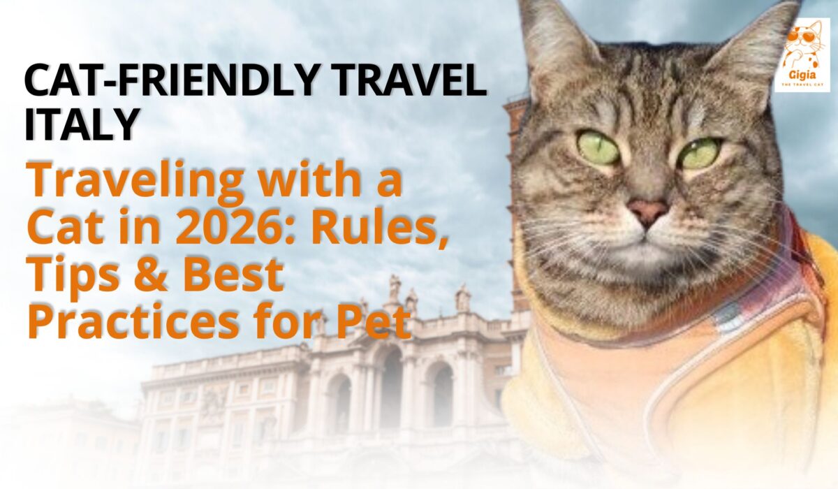 pet friendly vacation rental Florence