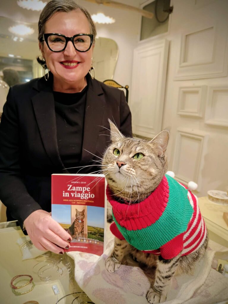 gigia the travel cat