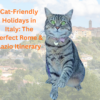 Gigia following a cat-friendly Rome itinerary