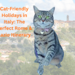 Gigia following a cat-friendly Rome itinerary