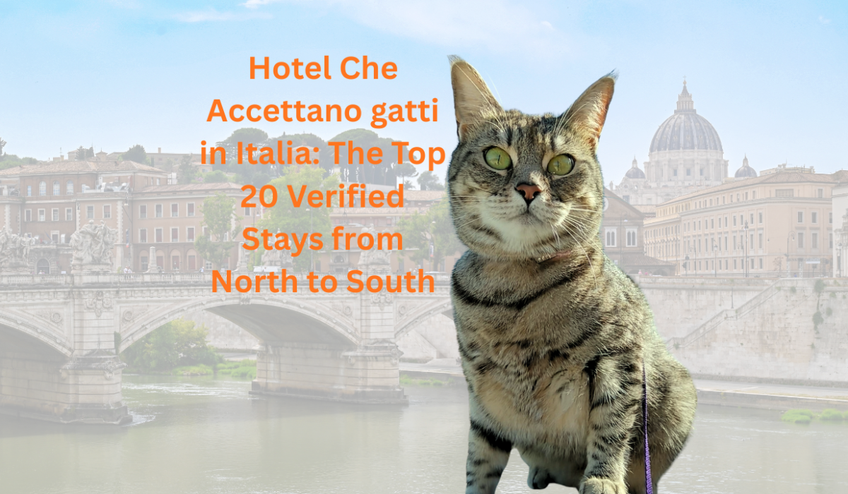 Gigia at a luxury hotel che accettano gatti in Italia