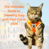 A master guide on how to travel Italy with a cat featuring Gigia