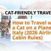traveling to Italy with a cat