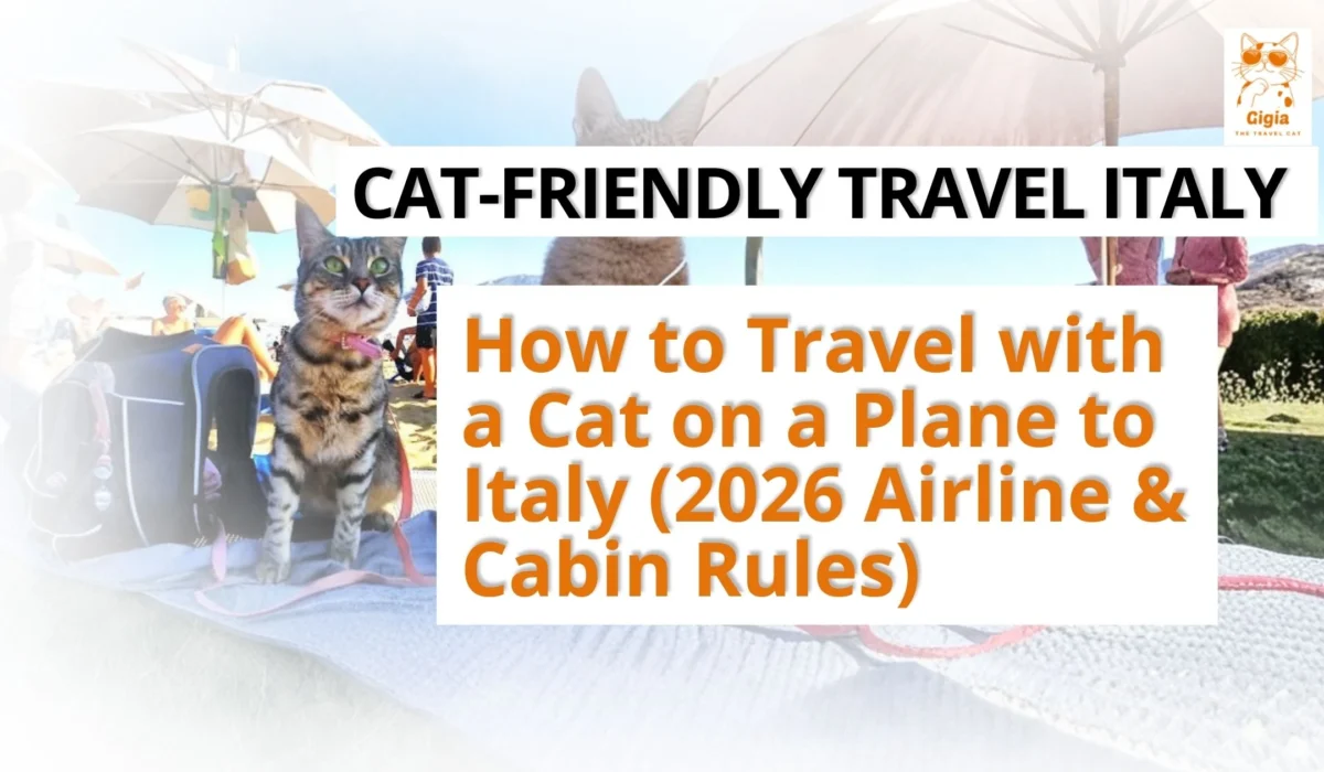 traveling to Italy with a cat