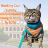 Gigia reviewing cat-friendly hotels Rome