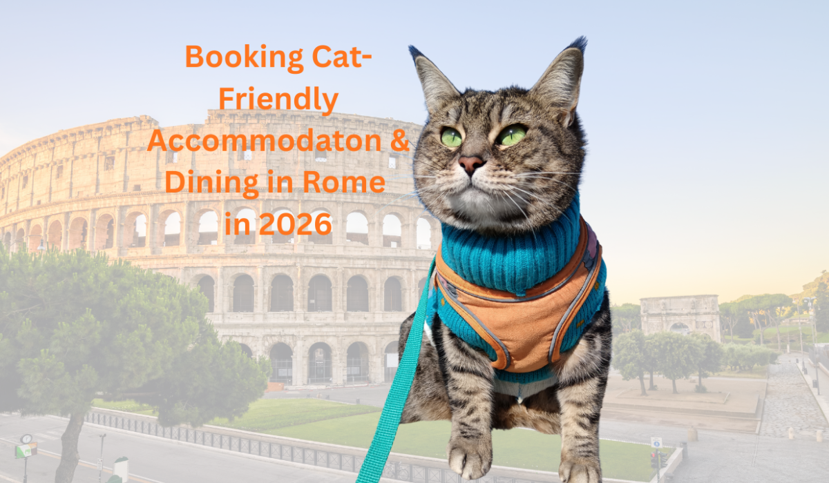 Gigia reviewing cat-friendly hotels Rome