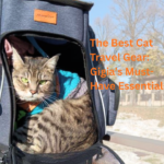 Gigia Travel Cat in her backpack - the ultimate cat travel gear
