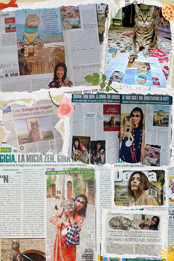 Gigia Press Reviews Dossier Cover