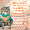 Gigia visiting cat-friendly hotels Italy