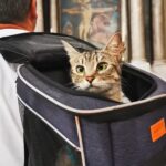Gigia in a soft-sided backpack carrier