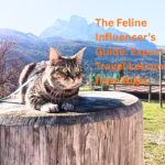 Gigia Travel Cat travelling in Dolomites