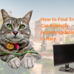 Gigia the cat looking at the camera with her emerald eyes with a computer screen in front of her.