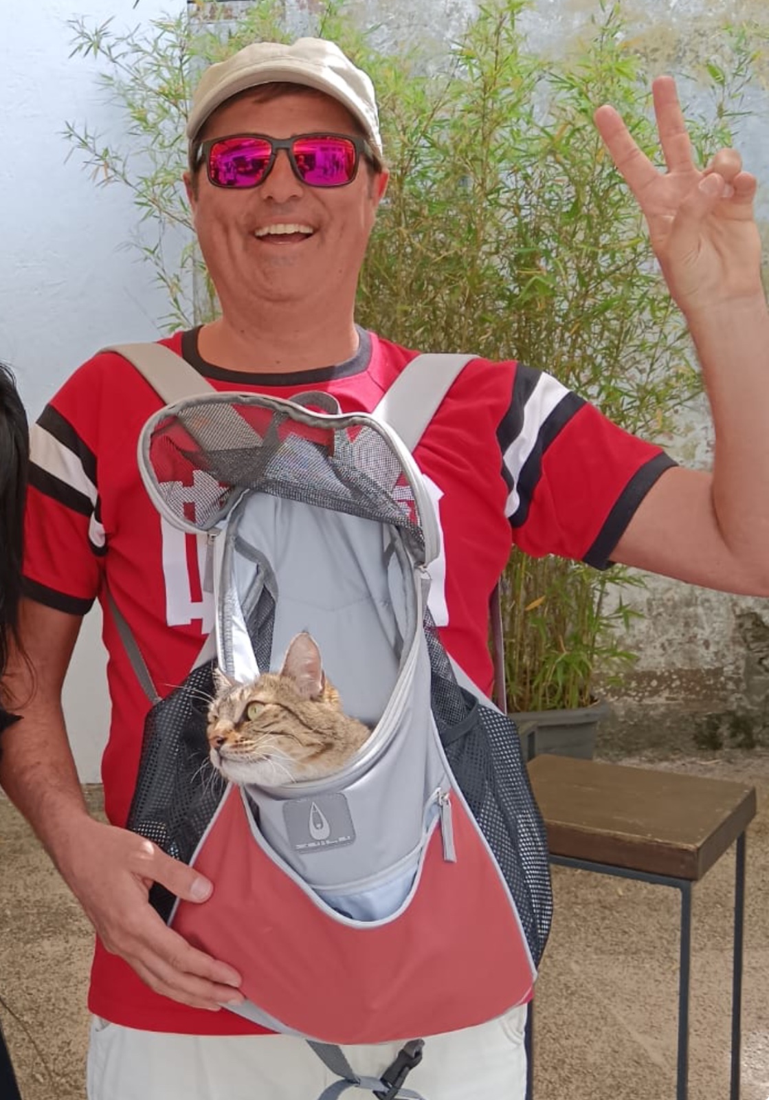 Iris the tabby girl - Venice Mestre
