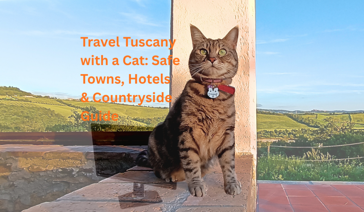 Gigia the cat looking over green pastures in Tuscany