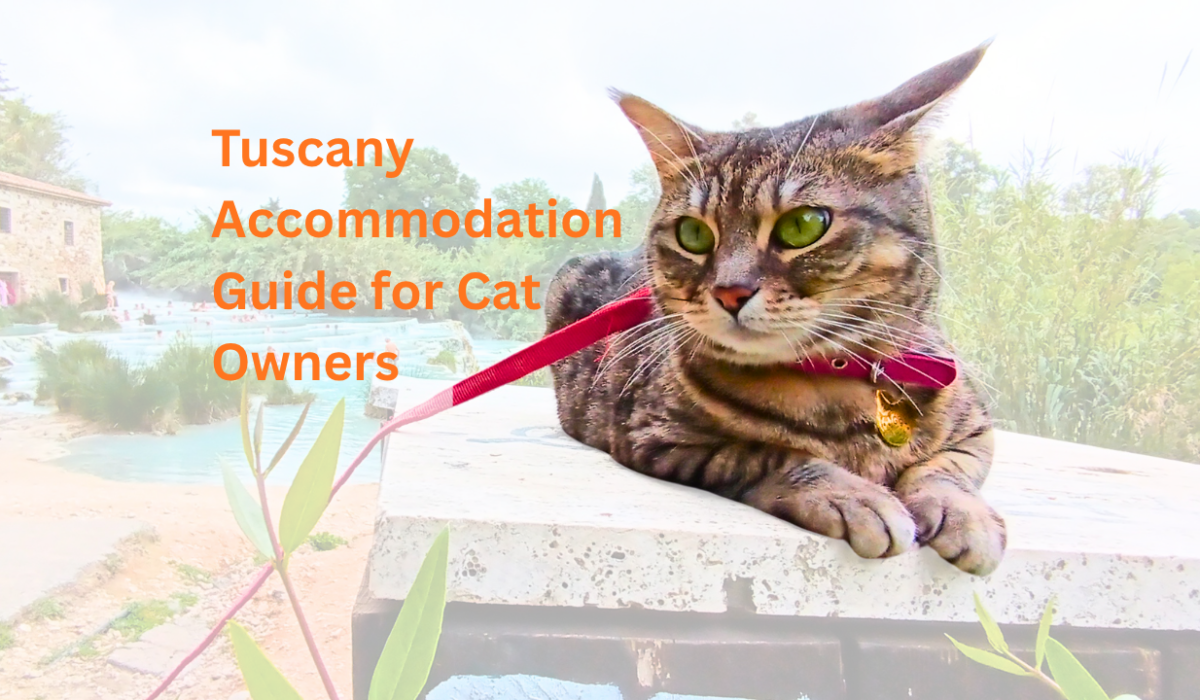 Gigia Travel Cat at Saturnia Terme