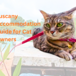 Gigia Travel Cat at Saturnia Terme