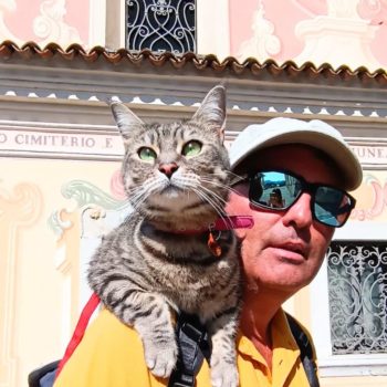 Gigia the travel cat