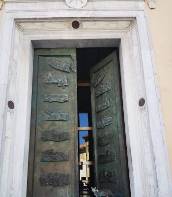 gigia the travel cat