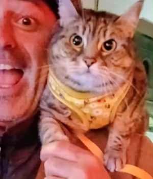 gigia the travel cat