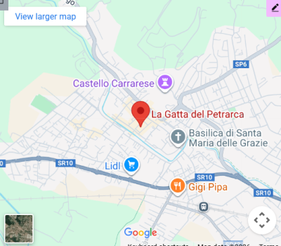 La Gatta Petrarca