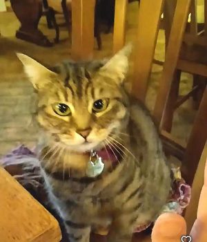 La Locanda Del Conte Nitto 2