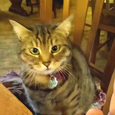 La Locanda Del Conte Nitto 2