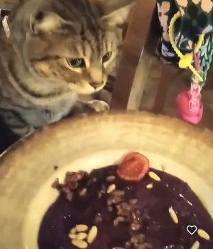 La Locanda Del Conte Nitto