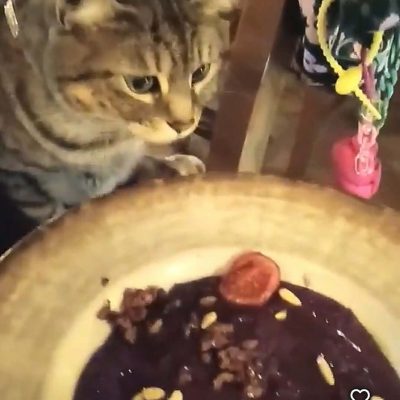 La Locanda Del Conte Nitto