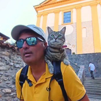gigia the travel cat