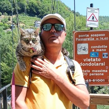 Gigia the travel cat