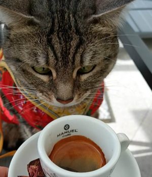 Quartiere Latino Cafè