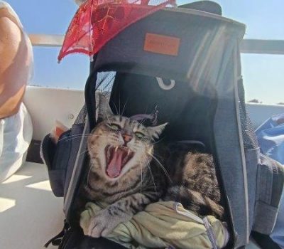 Rifugio Il Ghebo (2)