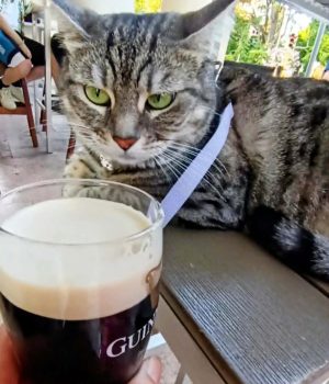 St. Thomas Gate Pub