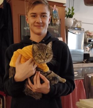 gigia the travel cat