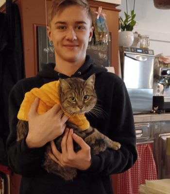 gigia the travel cat