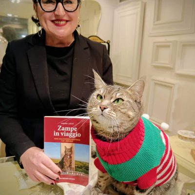 gigia the travel cat