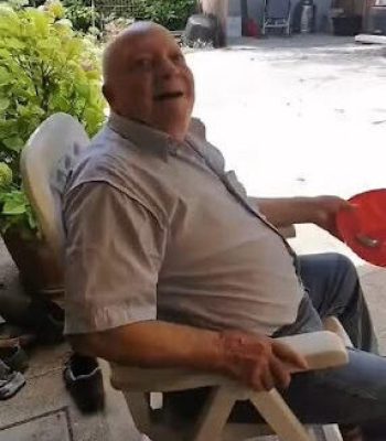 gigia the travel cat